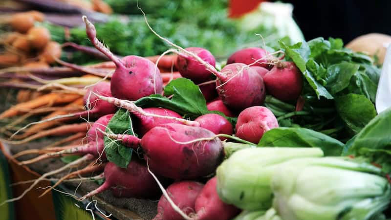 Fastest Growing Veggies For Busy Gardeners