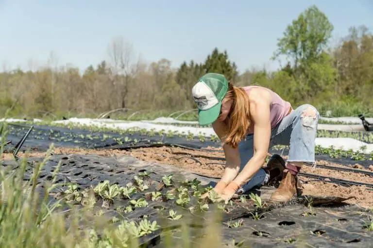 12 Time-Wasting Garden Tasks You Can Stop Doing Right Now