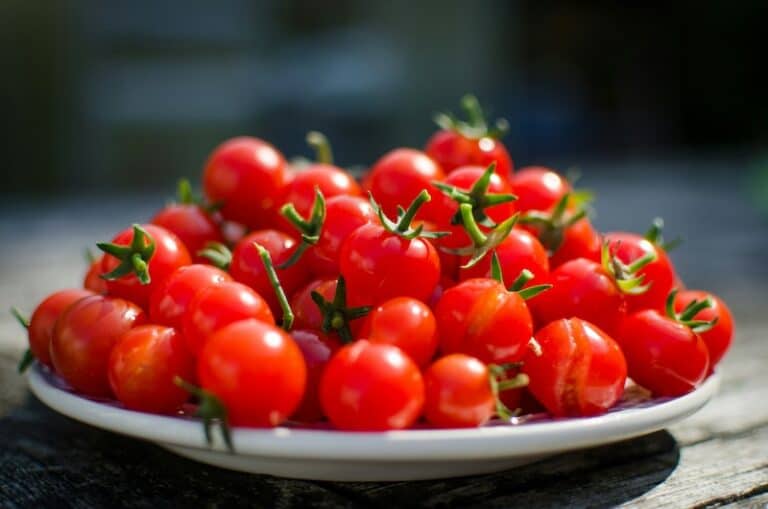 Growing Cherry Tomatoes Has Never Been Easier—Follow This Simple Guide