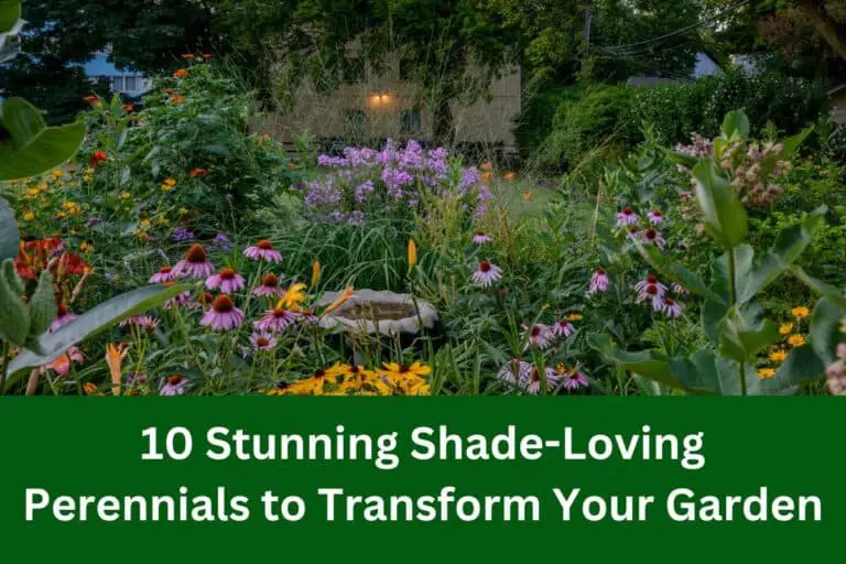 10 Stunning Shade-Loving Perennials to Transform Your Garden