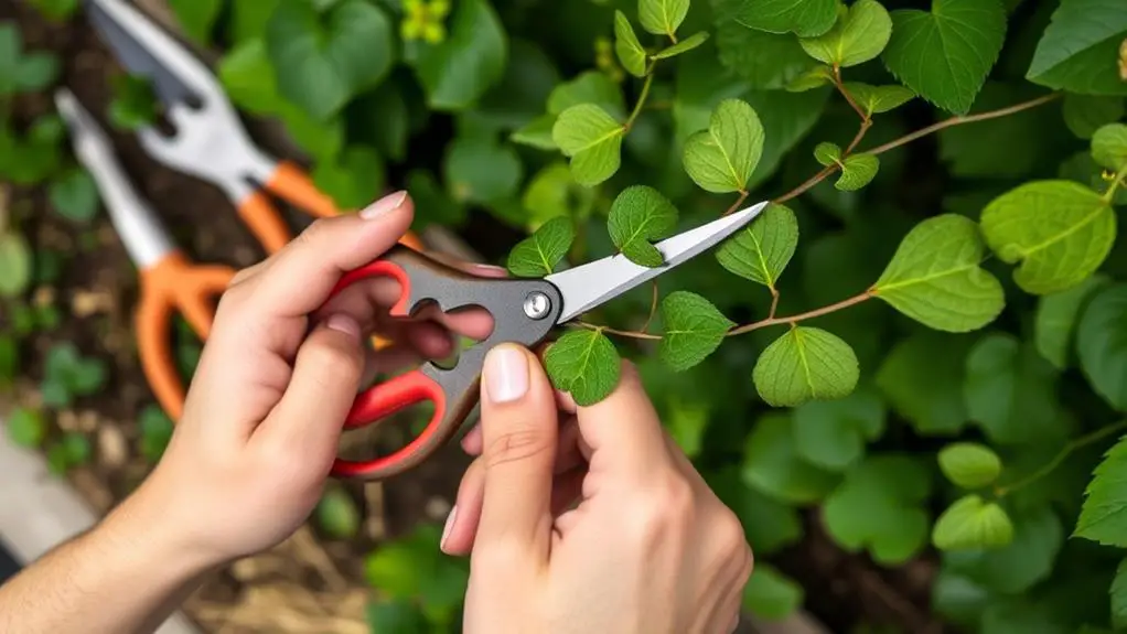 create butterfly cuttings