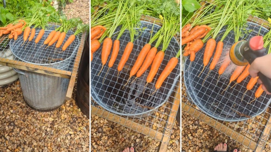 Genius Trick For Saving Money During Your Harvesting Season