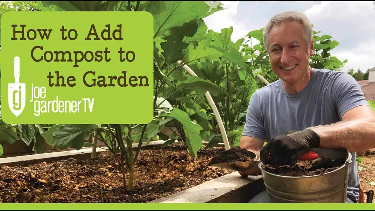 How Much Compost Should You Add To Your Garden Soil