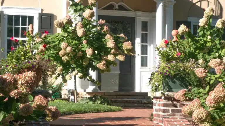 How To Make A Small Front Yard Look Bigger: Expert Tips & Tricks