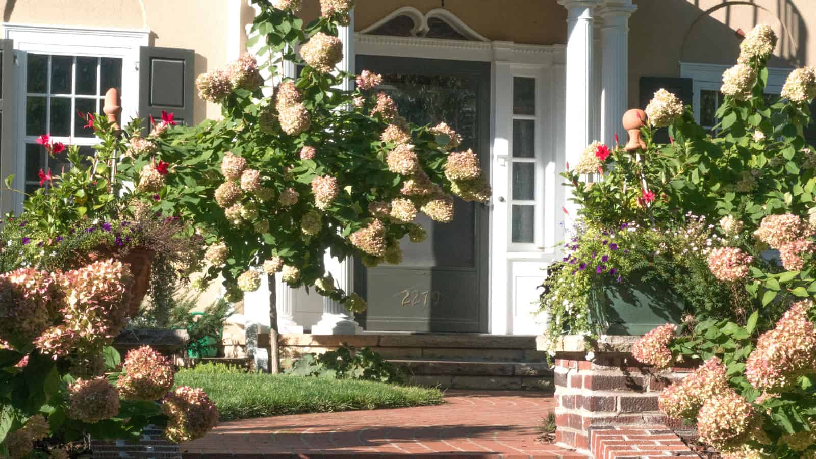 How To Make A Small Front Yard Look Bigger