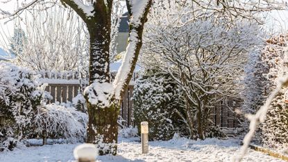 How To Repair Your Yard After Vicious Winter Storms