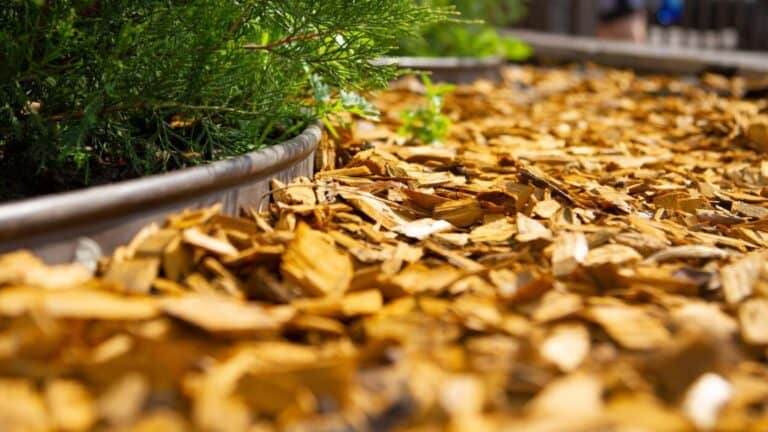 Its Time To Get Wood Chips For Your Yard: Boost Curb Appeal Now