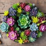 succulent wreath crafting guide