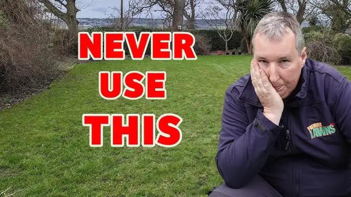 Things You Should Never Do To Your Lawn In November: Expert Tips