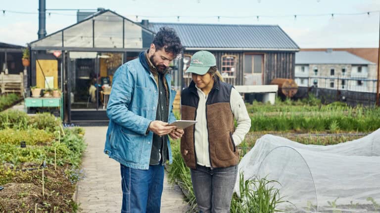 Tips To Protect Your Plants Before A Heavy Storm Hits: Essential Guide