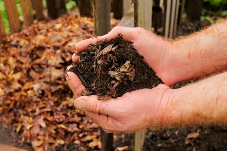 What Is Leaf Mulch And How To Make It: Ultimate Guide