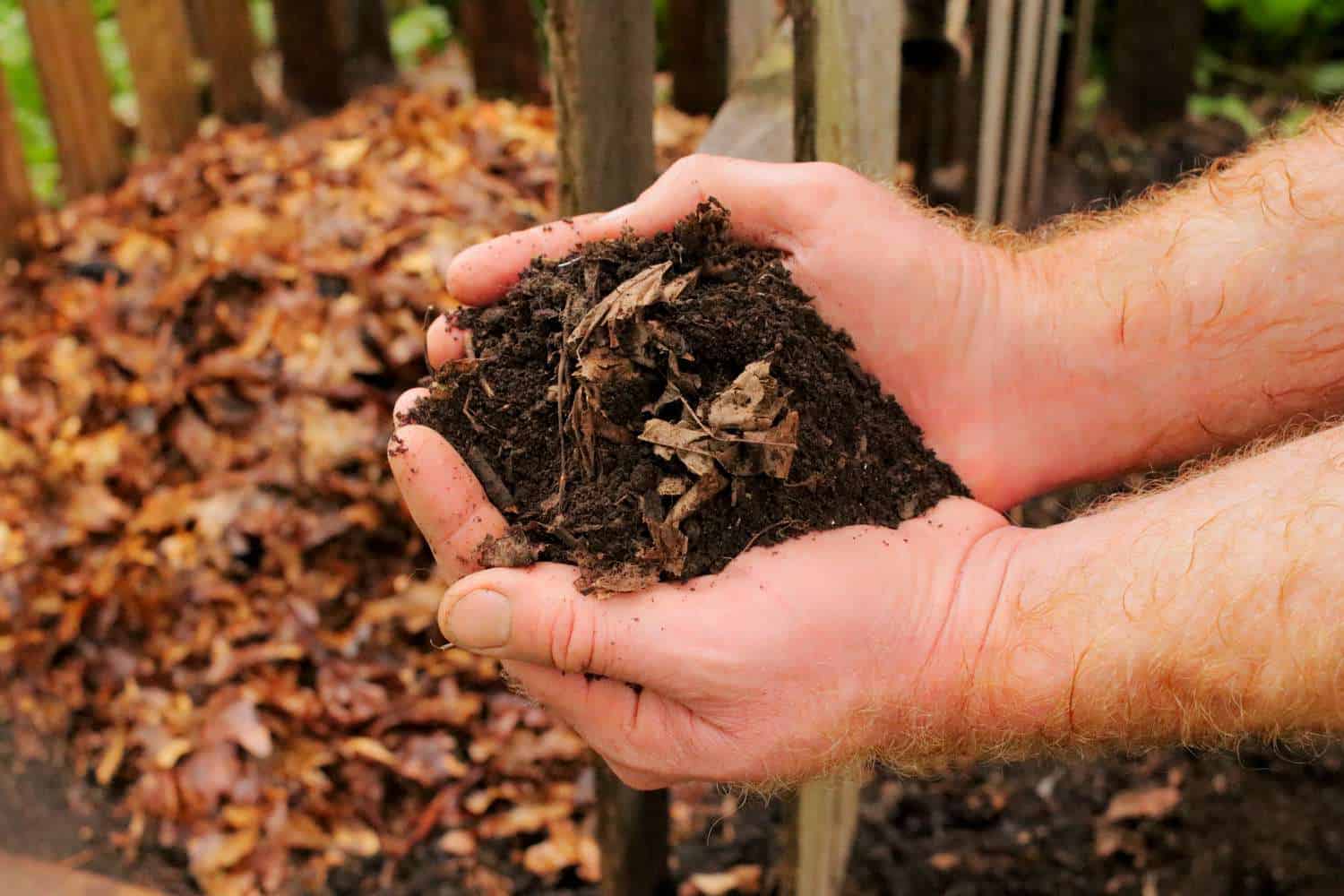 What Is Leaf Mulch And How To Make It