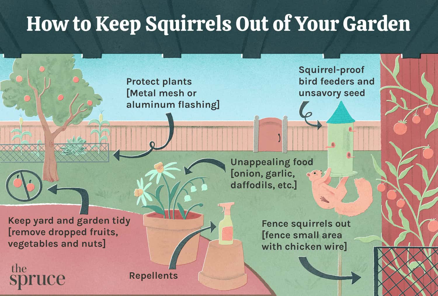 What To Plant To Keep Squirrels From Eating Your Garden